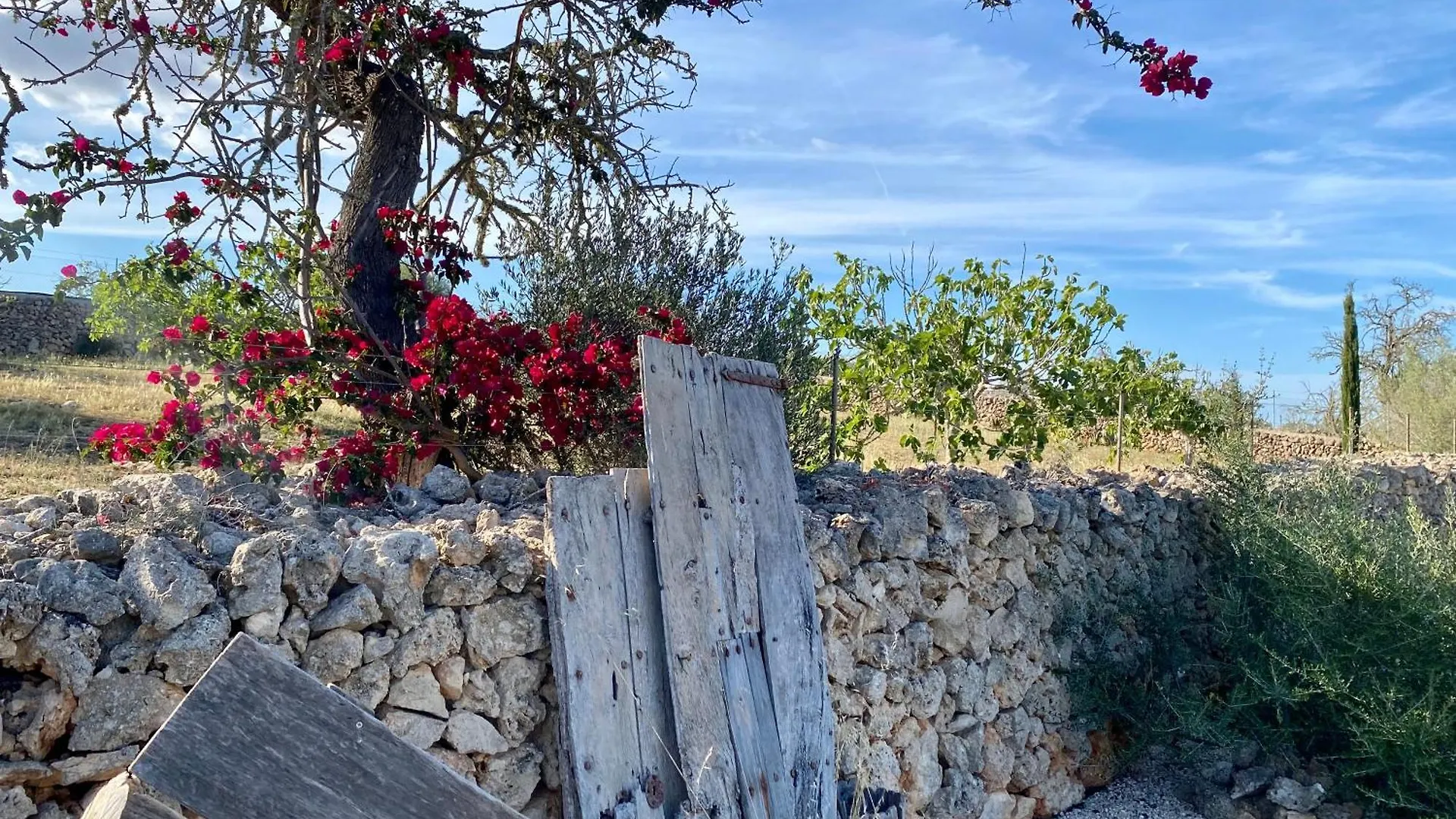 Venkovský dům Can Susacasa, Santa Margalida, Mallorca Santa Margarita